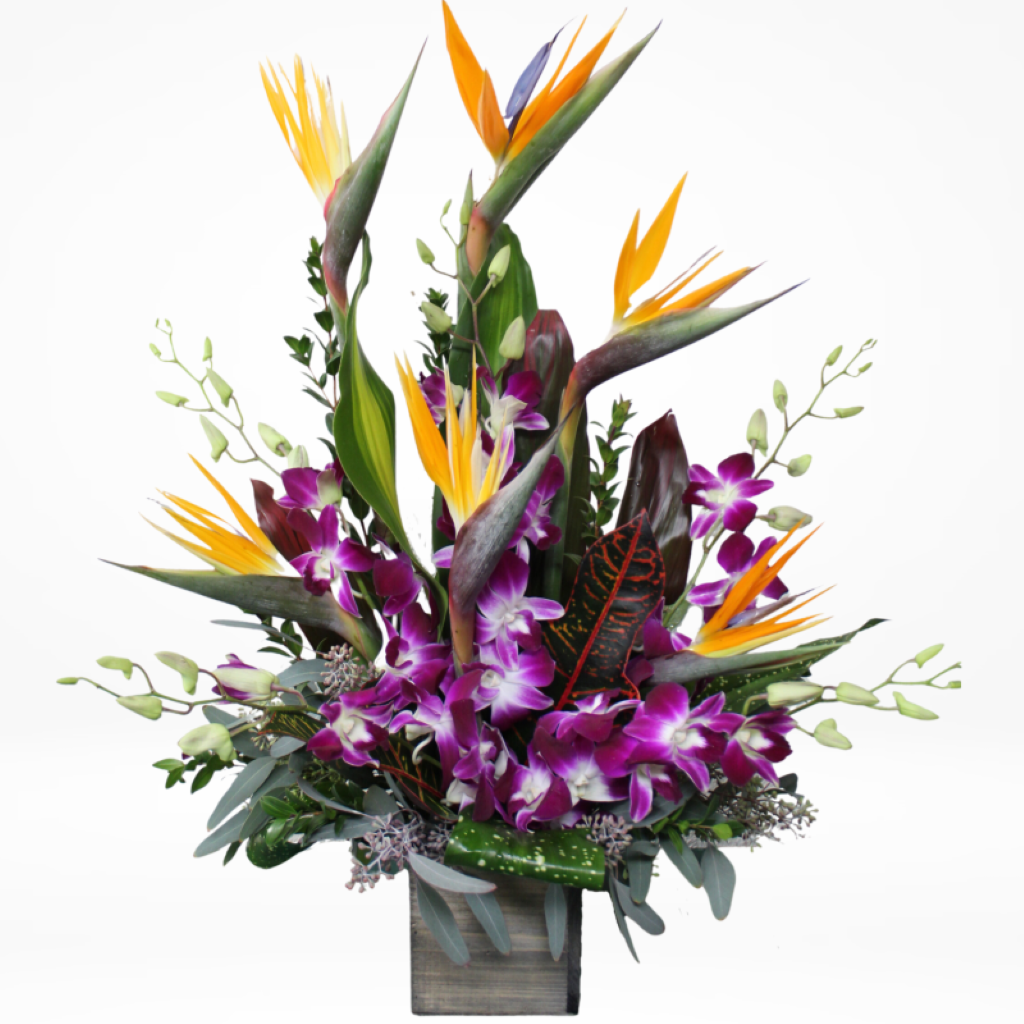 California Birds –  North Star Blooms, Roseville MN