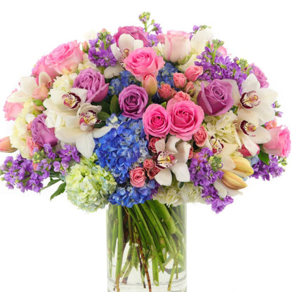 GARDEN BEAUTY –  North Star Blooms, Roseville MN