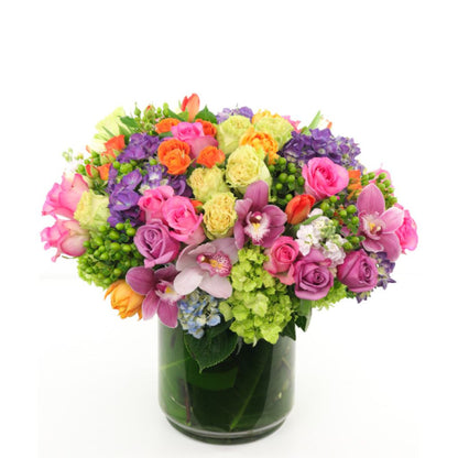 SPRING AFFAIR –  North Star Blooms, Roseville MN