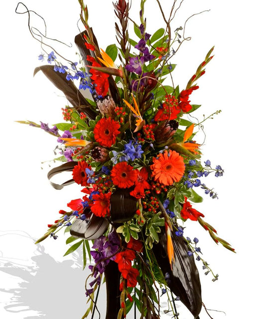 Vibrant Celebration