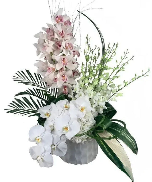 Imagination Orchids