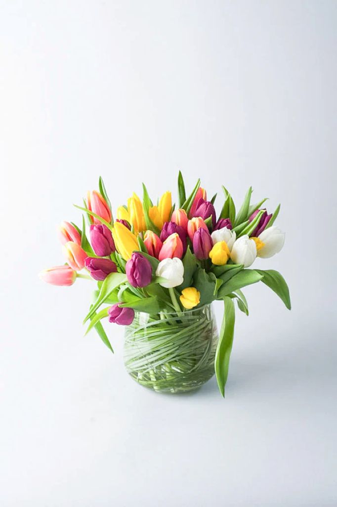 Joyful Spring