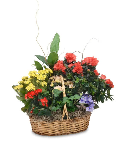 Vivid Euro Garden Basket