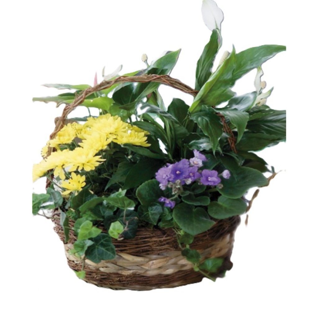 European Garden Basket