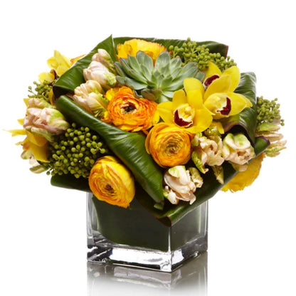 Citrus Savvy –  North Star Blooms, Roseville MN