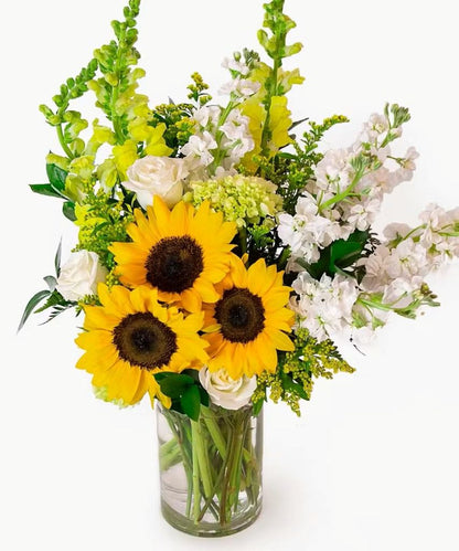 Sunlit –  North Star Blooms, Roseville MN