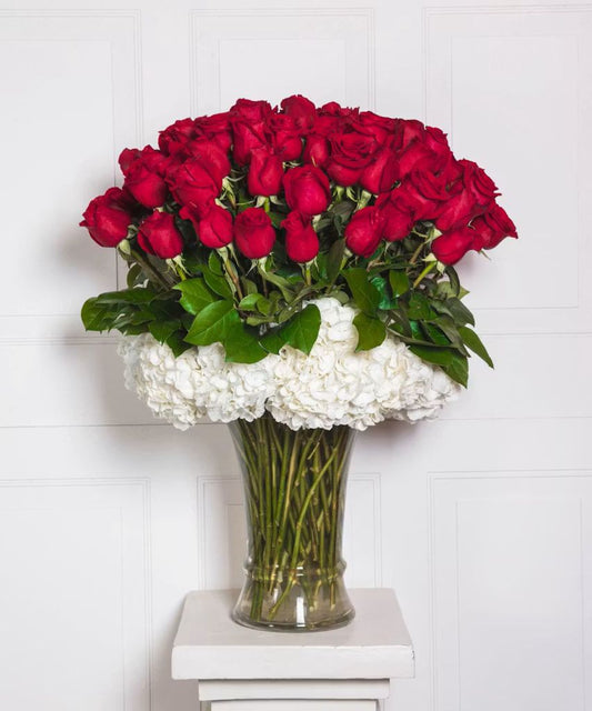 Lavish 75 Luxury Long Stem Roses