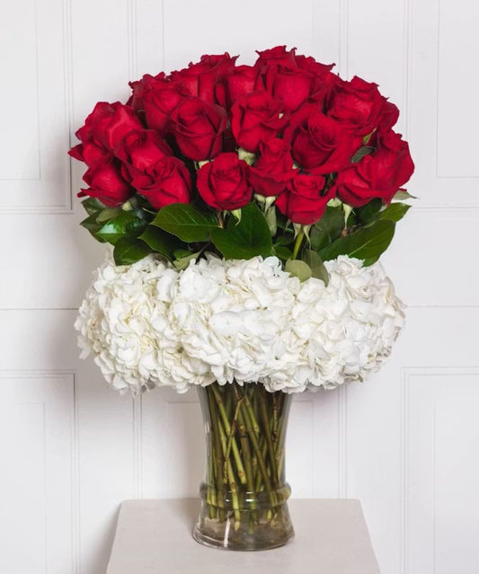 Luxe 36 Medium Stem Roses