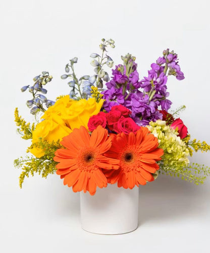 Vibrance