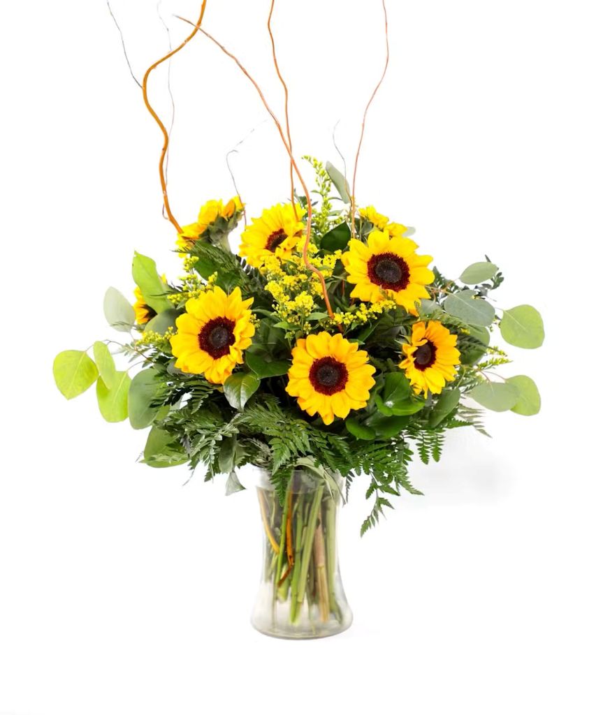 Sunflower Fields