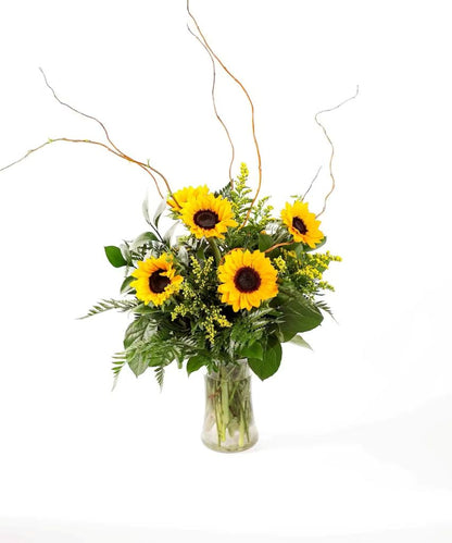 Sunflower Fields