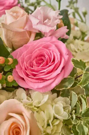 Blush At First Sight