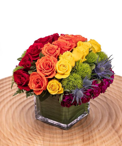 Rainbow Prism –  North Star Blooms, Roseville MN