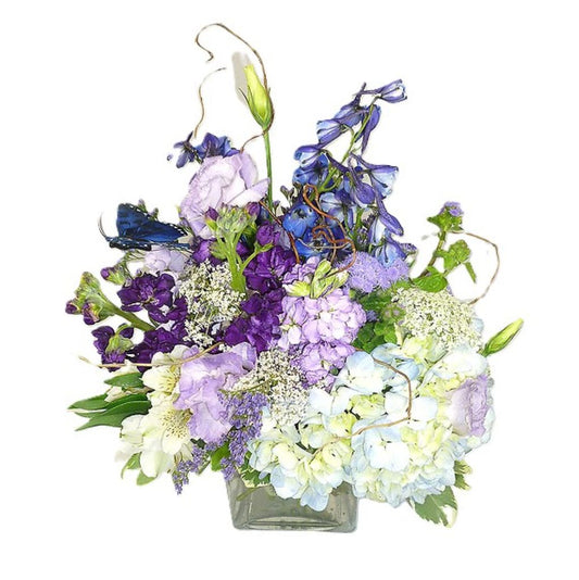 Lady Lavender