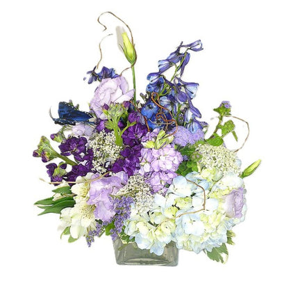 Lady Lavender