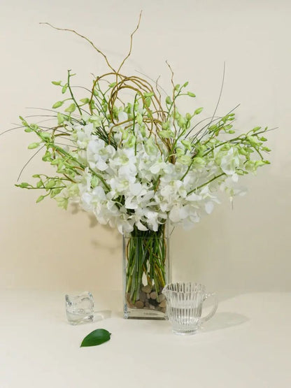 White Dendrobium Orchids –  North Star Blooms, Roseville MN