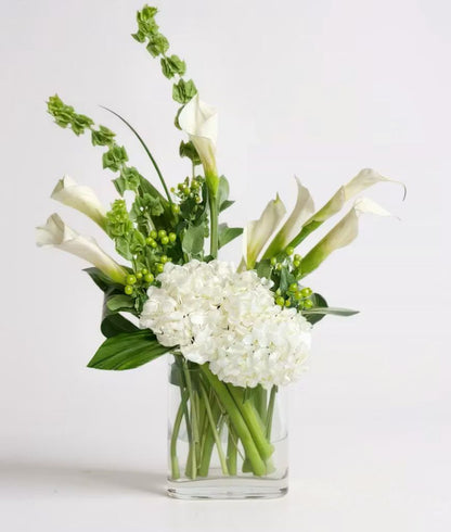 Calla Lily Surprise –  North Star Blooms, Roseville MN