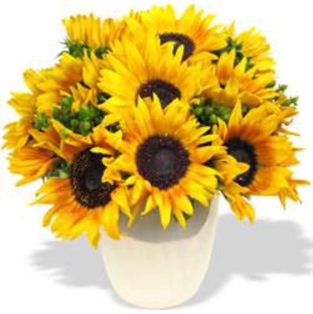 Sunflower Vase