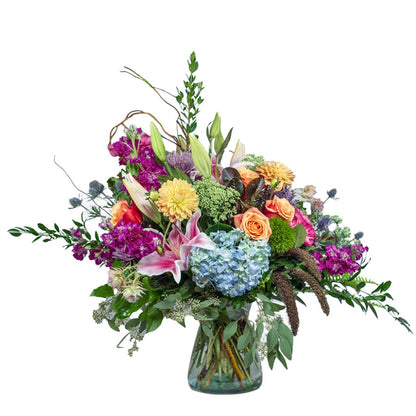 Catalina –  North Star Blooms, Roseville MN