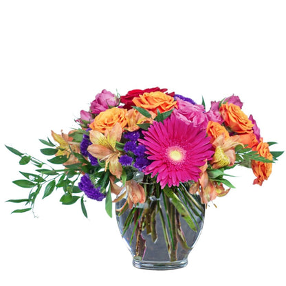 Daisy Parade –  North Star Blooms, Roseville MN