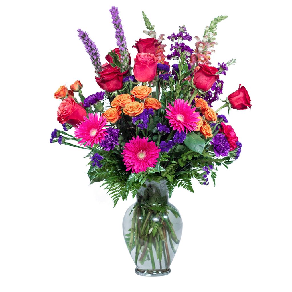 Dizzy –  North Star Blooms, Roseville MN