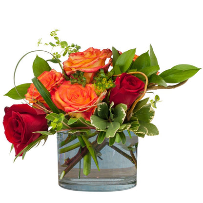 Jordan –  North Star Blooms, Roseville MN