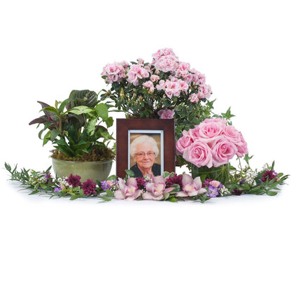 Lovely Lady Tribute –  North Star Blooms, Roseville MN