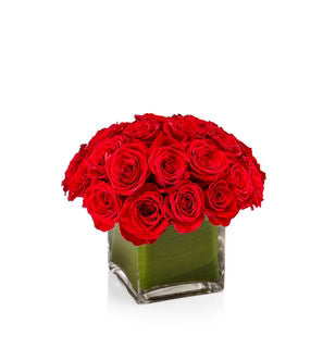 Red Rose Cube –  North Star Blooms, Roseville MN