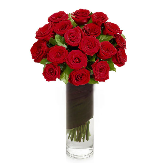 2 Dozen  Premium Red Roses in Vase
