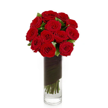1 Dozen Premium  Red Roses in Vase