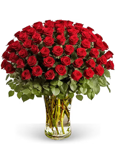 100 Premium Red Roses
