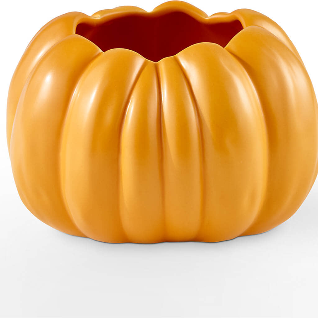 Golden Gourd Pumpkin Bouquet –  North Star Blooms, Roseville MN