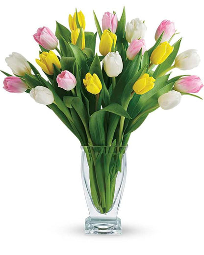 Teleflora's Tulip Treasure