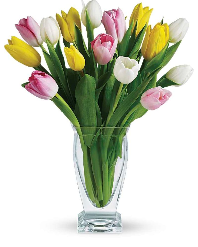 Teleflora's Tulip Treasure