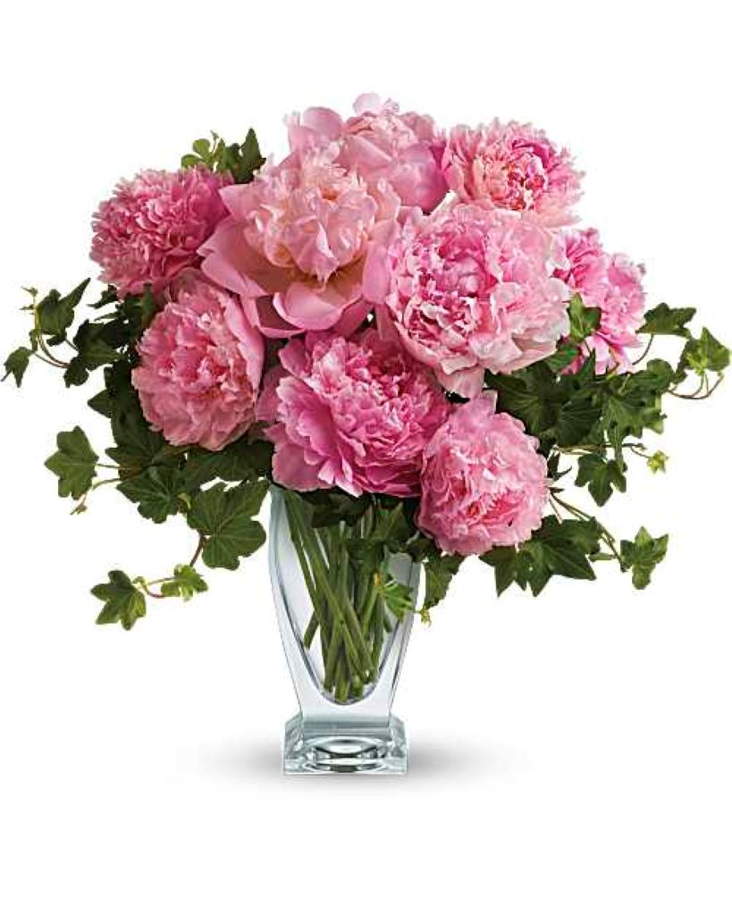 Teleflora's Perfect Peonies
