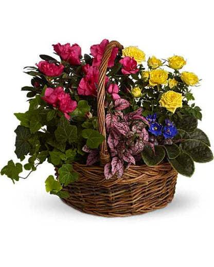 Blooming Garden Basket –  North Star Blooms, Roseville MN