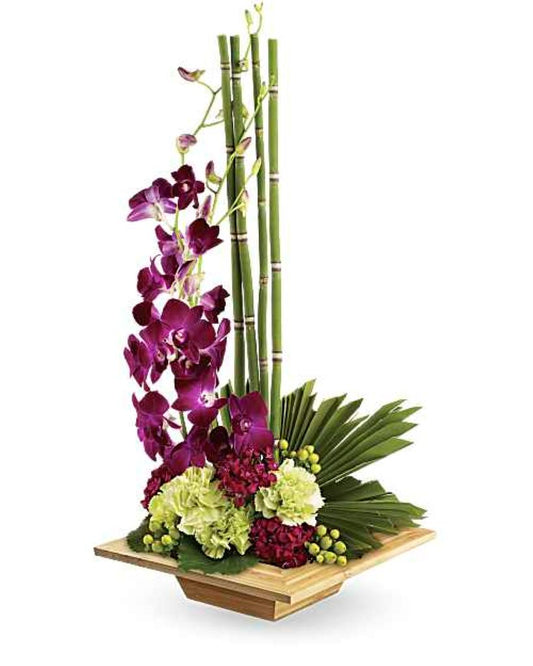 Zen Artistry –  North Star Blooms, Roseville MN