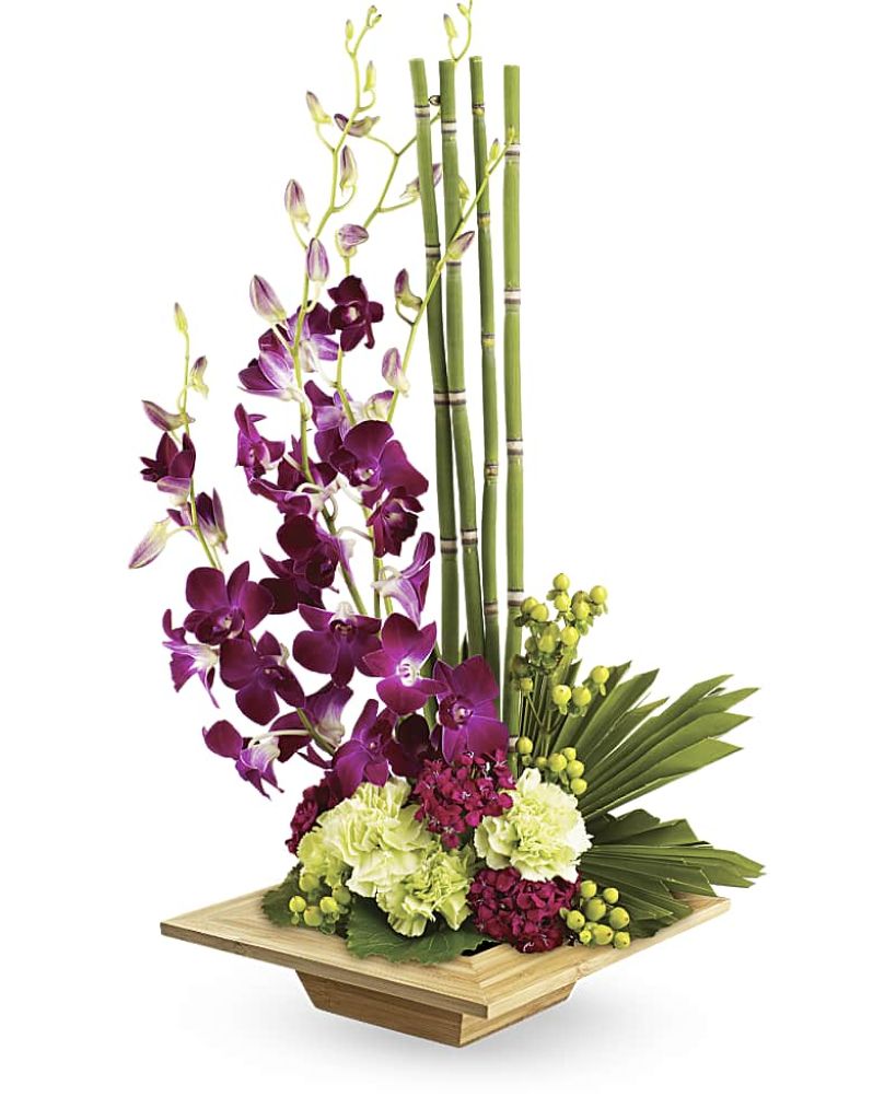 Zen Artistry –  North Star Blooms, Roseville MN