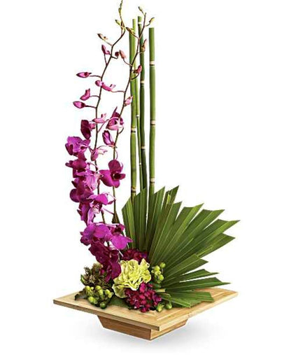 Zen Artistry –  North Star Blooms, Roseville MN