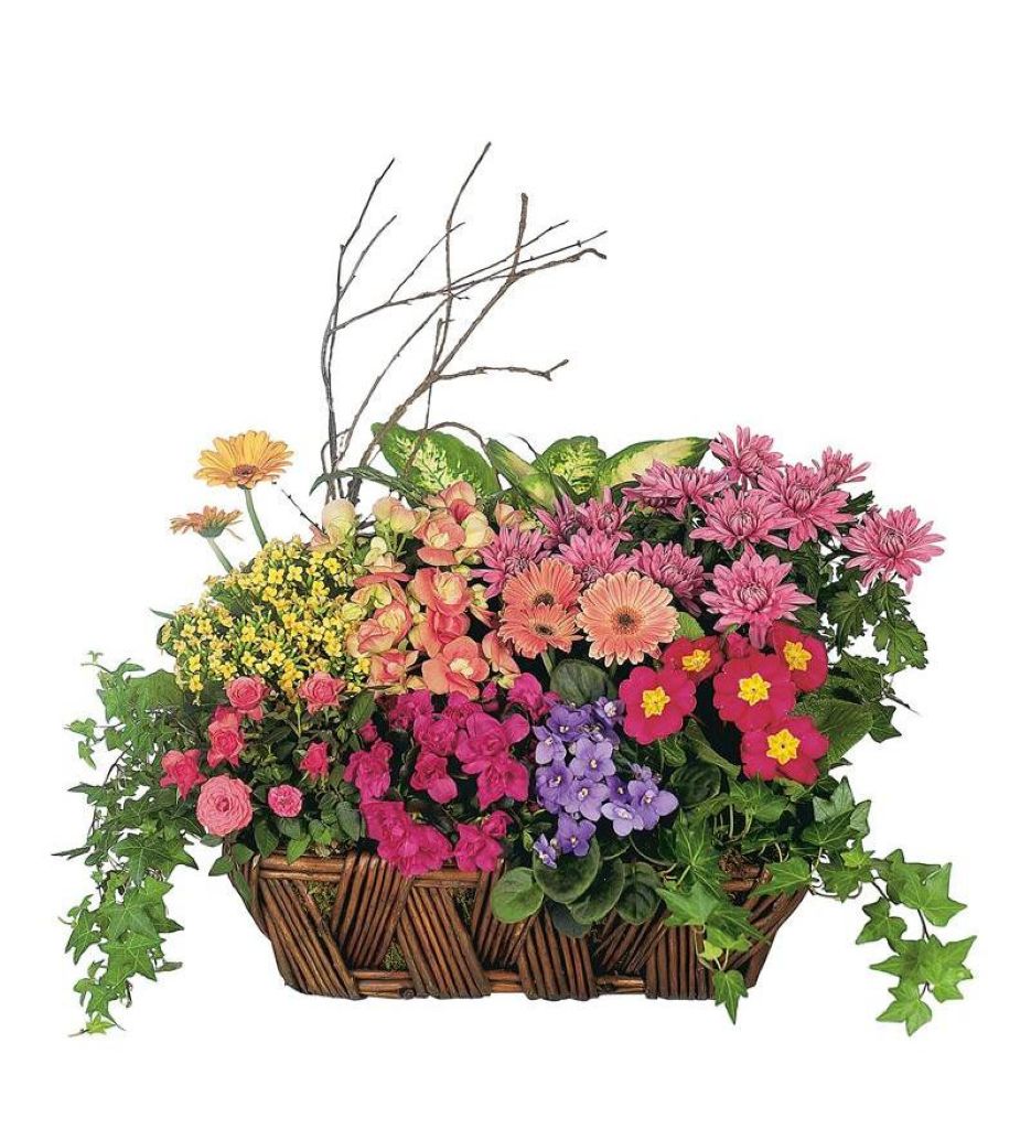 Deluxe European Garden Basket