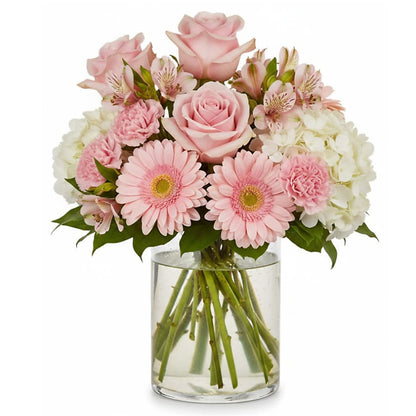 Sweet Pea's Delight