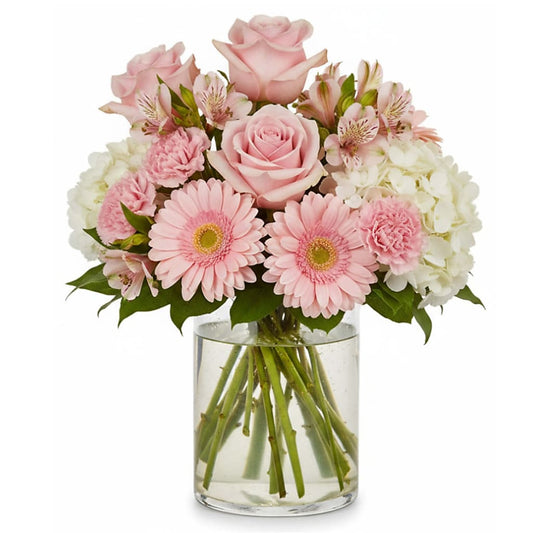 Sweet Pea's Delight