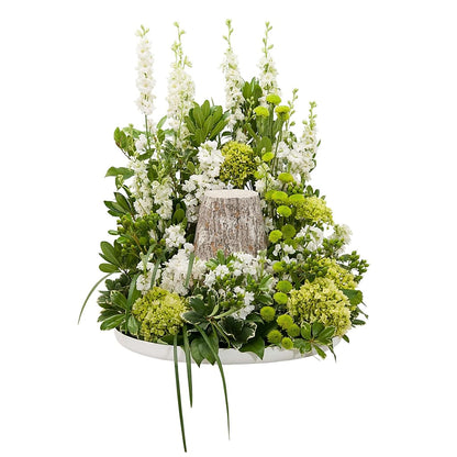 Elegance Surround