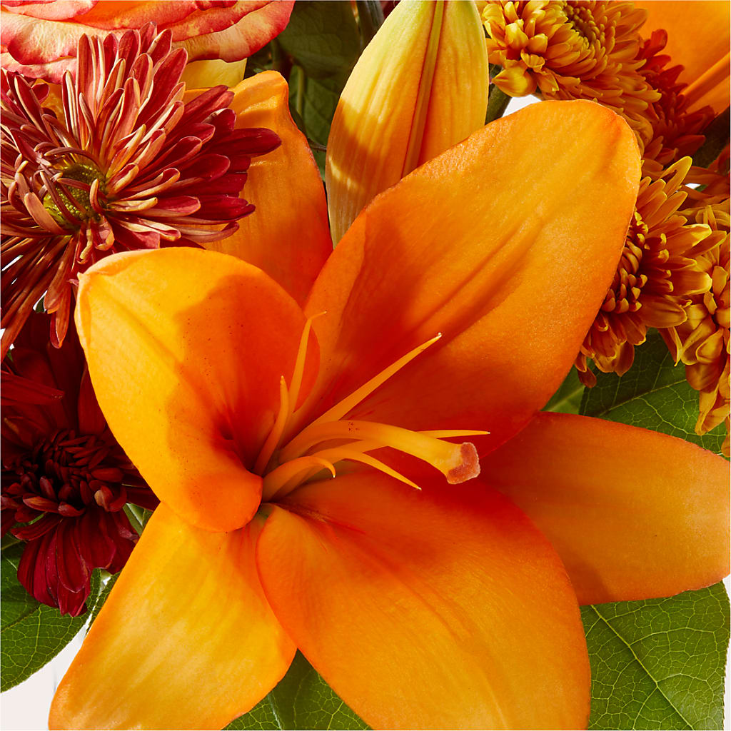 Autumnal Aroma Bouquet –  North Star Blooms, Roseville MN
