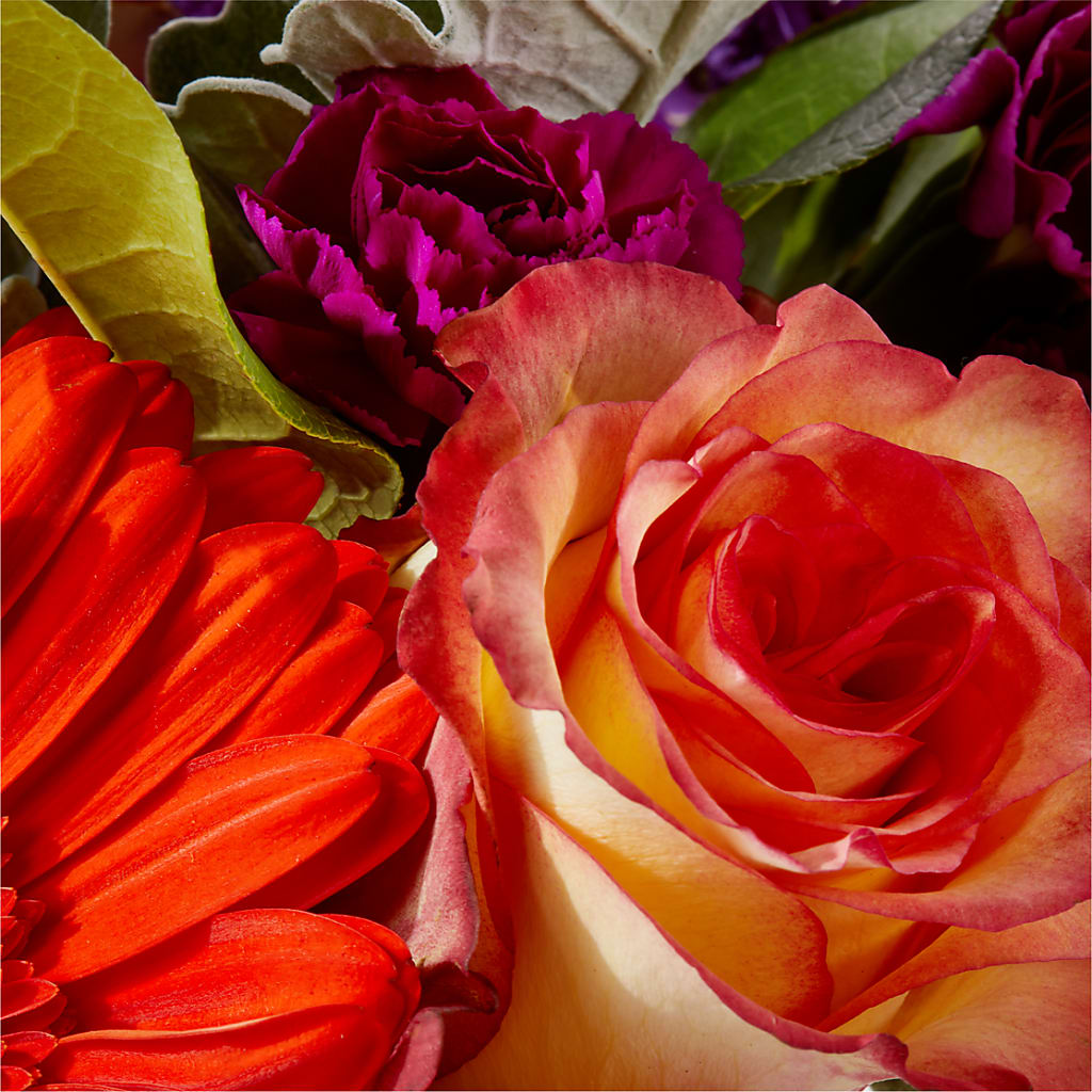 Sangria Bouquet –  North Star Blooms, Roseville MN