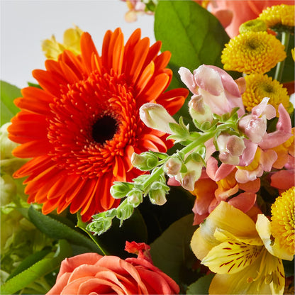 Autumn Sunshine Bouquet –  North Star Blooms, Roseville MN
