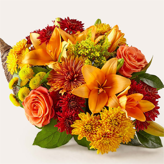 Feast of Color Cornucopia –  North Star Blooms, Roseville MN