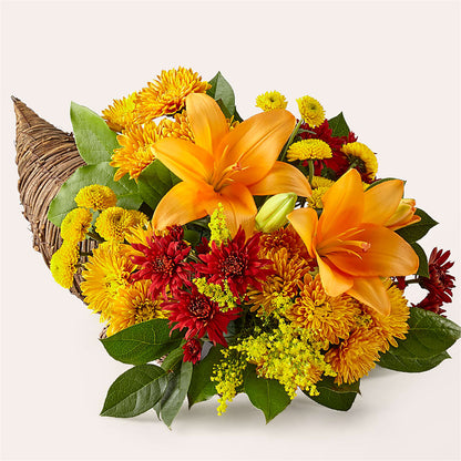 Feast of Color Cornucopia –  North Star Blooms, Roseville MN