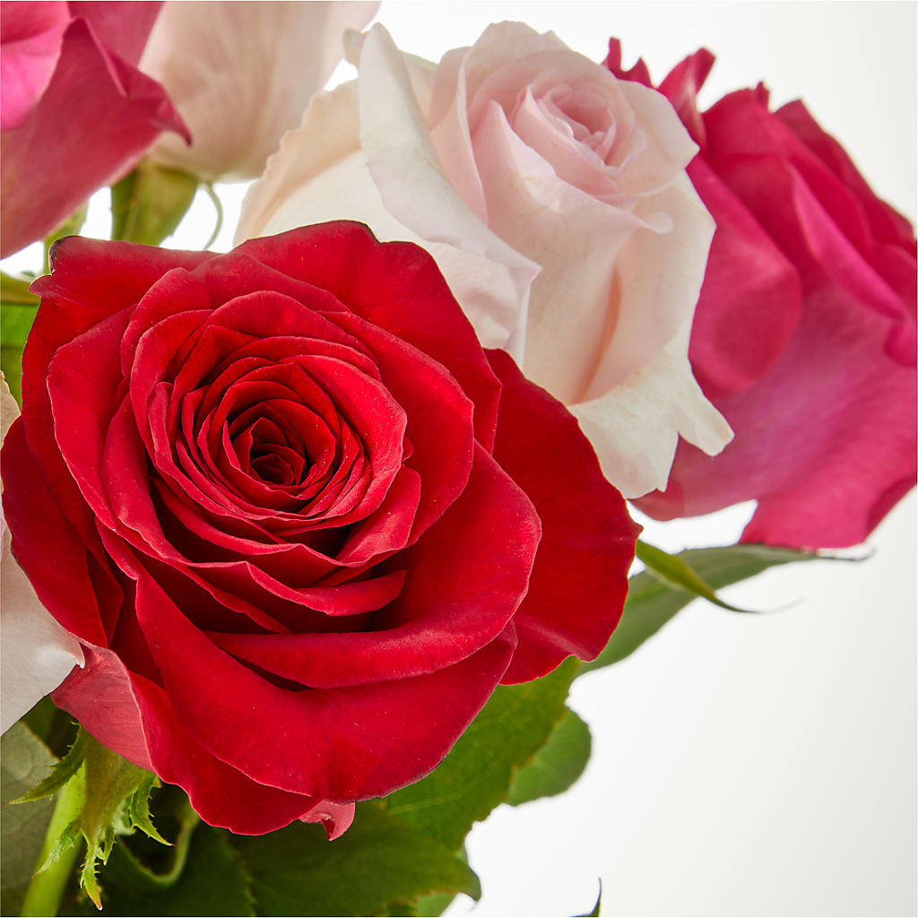 Charming Rose Bouquet –  North Star Blooms, Roseville MN