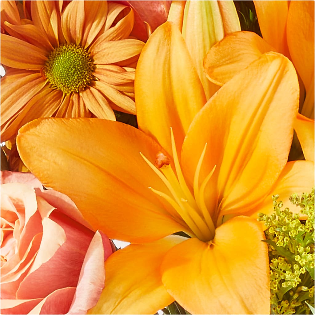 Harvest Hayride Bouquet –  North Star Blooms, Roseville MN